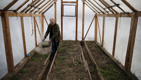 Aleksandras trę&scaron;ia žemę &scaron;iltnamyje, jis džiaugiasi galėdamas užsiauginti visus maisto produktus