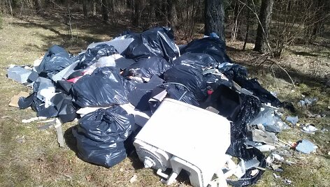 Statybinės atliekos Molinės kaime