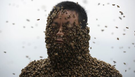 Bitės ant Kinijos bitininko She Pingo