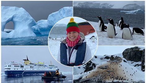 Jūratės Radvilavičiūtės kelionė į Antarktidą