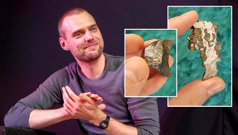 Tado Vidmanto meteoritų kolekcija