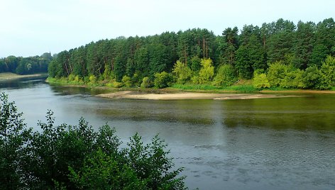 Nemuno pakrantės prie Druskininkų