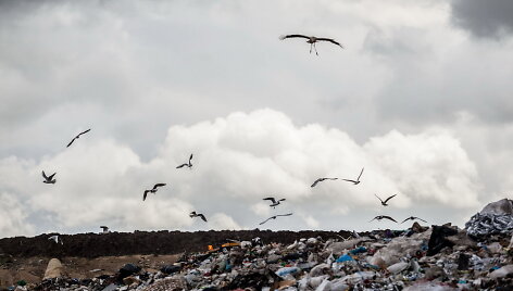 &Scaron;iuk&scaron;lių tvarkymas