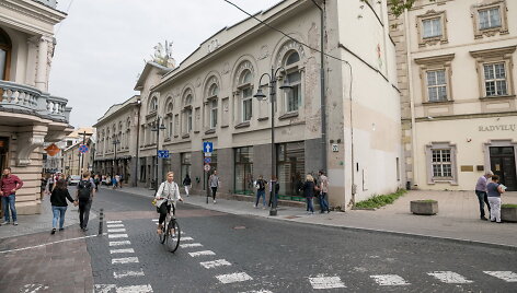Naktinis Vilniaus avilys