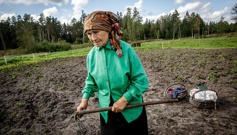 Dzūkų kaimo gyventojų dabai rudenį