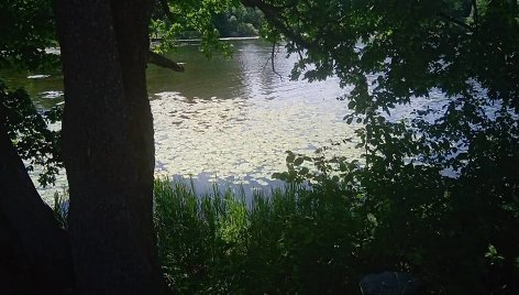 Vilniuje nuskendo prie tvenkinio poilsiavęs vyras