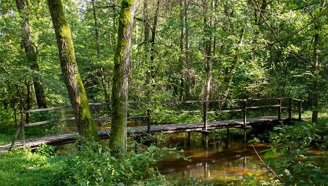 Saulės takas, Druskininkai