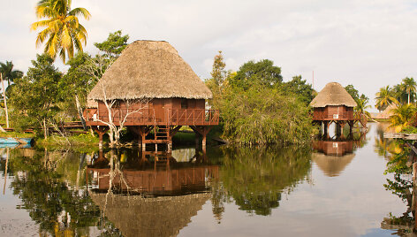 Cienaga de Zapata sala