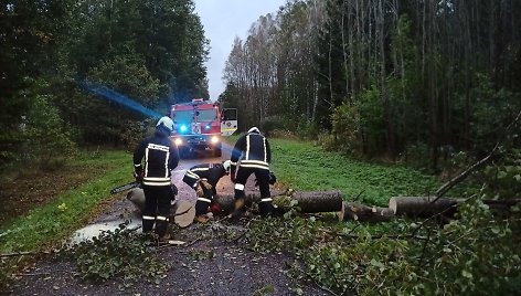 Šilininkuose (Šilutės r.) nuvirtęs medis užtvėrė kelią