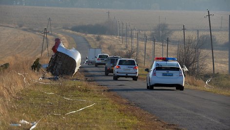 Nyderlandų ir ESBO ekspertai „Malaysia Airlines“ lėktuvo katastrofos vietoje