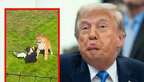 Donaldas Trumpas 