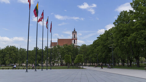 Luki&scaron;kių aik&scaron;tė