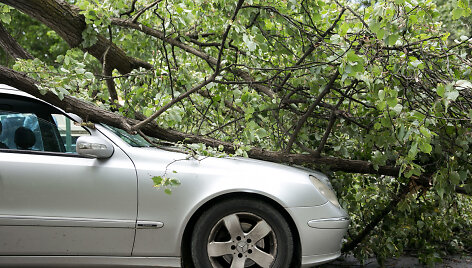 Geležinio vilko gatvėje ant automobilio užvirto medis