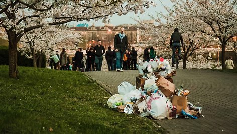 Vakaras sakurų parke