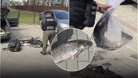 Sulaikyti brakonieriai, nu&scaron;ovę &scaron;lakio patelę