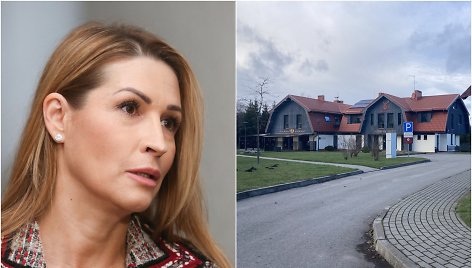 Daina Bosas, jai priklausantis viešbutis „Gamtos perlas“