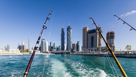 Dubajus, JAE