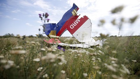 Numušto „Malaysia Airlines“ lėktuvo nuolaužos Donecke, Ukrainoje.