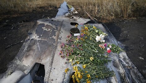 Malaizijos lėktuvo &bdquo;Boeing 777&ldquo; katastrofos vieta rytų Ukrainoje