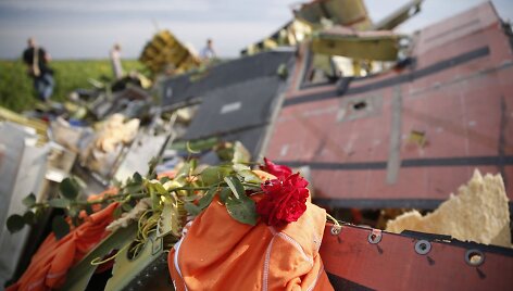 Malaizijos lėktuvo &bdquo;Boeing 777&ldquo; katastrofos vieta rytų Ukrainoje