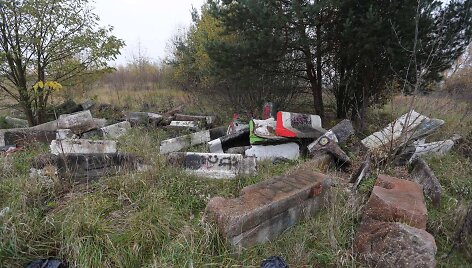 Nenaudojamos žemės sklypas Vilniuje