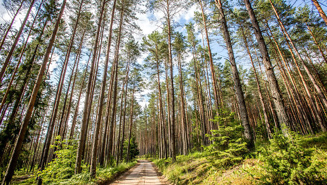 Aukštaitijos ežerai, miškai ir pievos