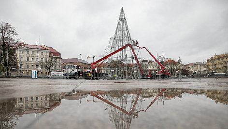 Vilniaus Katedros aikštėje pradėta montuoti Kalėdų eglė