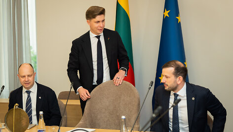 Socialdemokratų partijos, Lietuvos valstiečių ir žaliųjų sąjungos bei Demokratų sąjungos &bdquo;Vardan Lietuvos&ldquo; atstovų derybos 