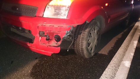 Automobilis partrenkė &scaron;erną.