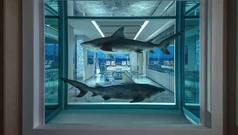 Menininko Damieno Hirsto kurtas brangiausio Las Vegaso vie&scaron;bučio kambario interjeras