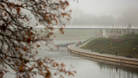 Žygimantas Gedvila/BNS nuotr. Rūkas