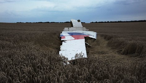 Numušto „Malaysia Airlines“ lėktuvo nuolaužos Donecke, Ukrainoje.