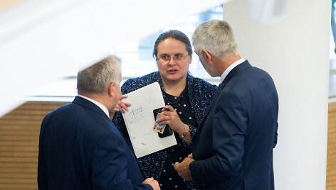 Agnė &Scaron;irinskienė