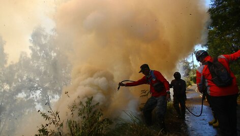 Gaisras Bromo nacionaliniame parke Indonezijoje