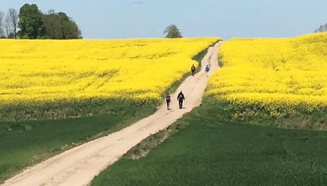 „Camino Lituano“