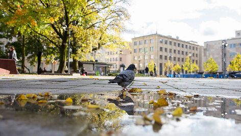 Permainingas Spalio oras Vilniuje