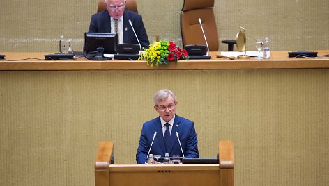 I&scaron;kilmingas Sąjūdžio trisde&scaron;imtmečio minėjimas.