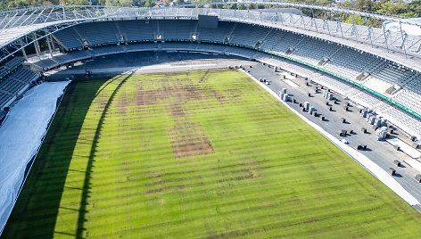 Dariaus ir Girėno stadiono veja