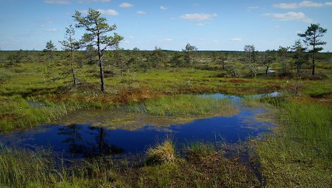 Kamanų rezervatas