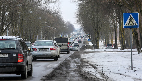 Stintų &scaron;ventė Palangoje