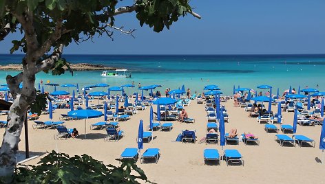 Fig Tree Bay, Kipras