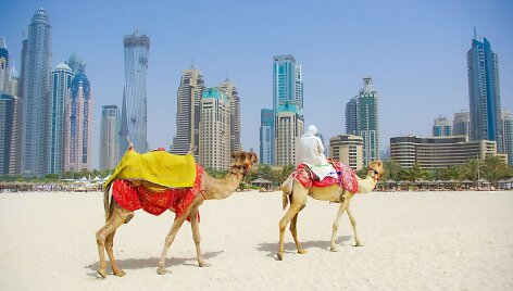 Dubajus