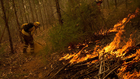 Miško gaisras Čilėje