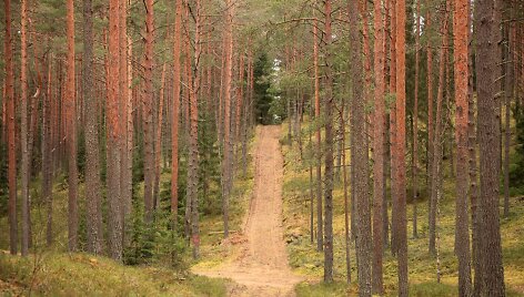 Briedžių takais po Gražutės regioninį parką