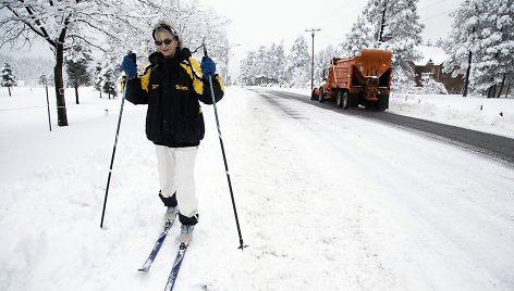 Ilgai laukta žiema