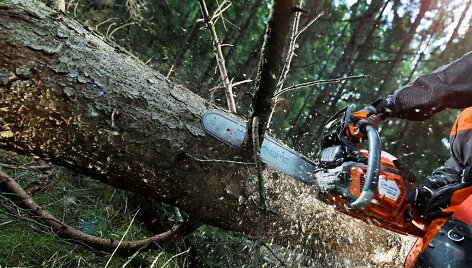 Naujieji HUSQVARNA pjūklai profesionalams &ndash;  galingesni, lengvesni, jais maloniau pjauti