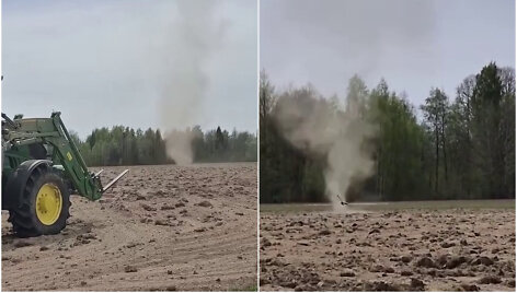 Dulkių velnias