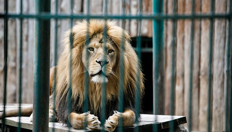 Lietuvos zoologijos sodas prieš uždarymą