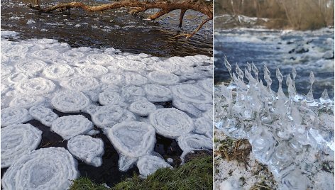 Šušvės upėje šaltukas „prikepė“ šakočių ir blynelių