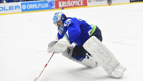 JAV &ndash; Slovėnija